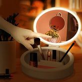 LED Makeup Mirror Desktop Girls Dormitory With Light Storage Box