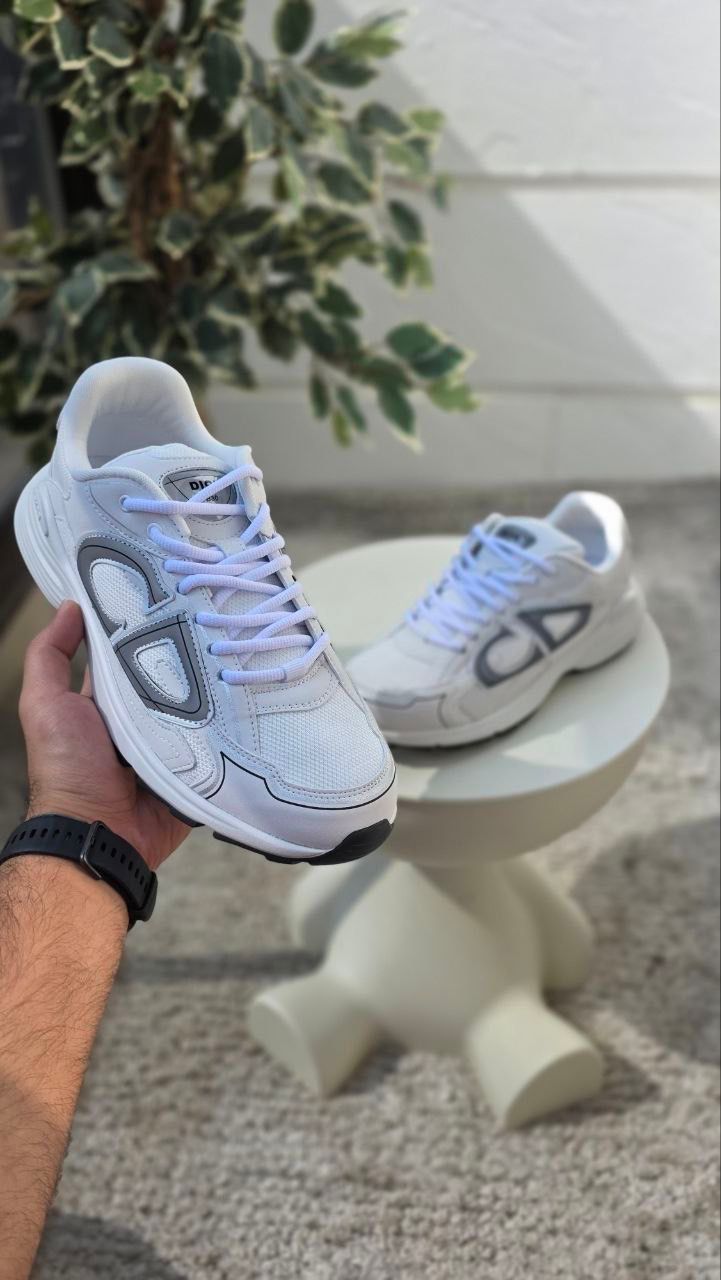 Dior B30 Low-Top Sneakers – White/Grey